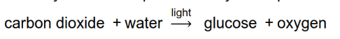 Photosynthesis equation