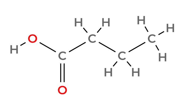 Butanoic Acid stick diagram