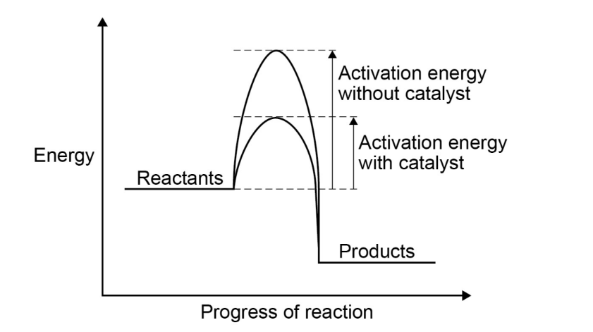 Catalysis energy profile diagram